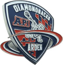 Custom lacrosse pins - World Lacrosse Foundation