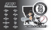 Free team banner with trading pins