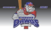 Free team banner with trading pins