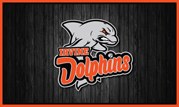 Free team banner with trading pins