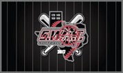 Free team banner with trading pins