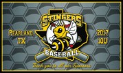 Free team banner with trading pins
