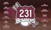 Free team banner with trading pins