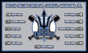 Free team banner with trading pins