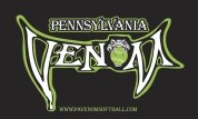 Free team banner with trading pins